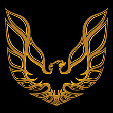 Load image into Gallery viewer, PONTIAC FIREBIRD / TRANS AM - GARAGE BANNER
